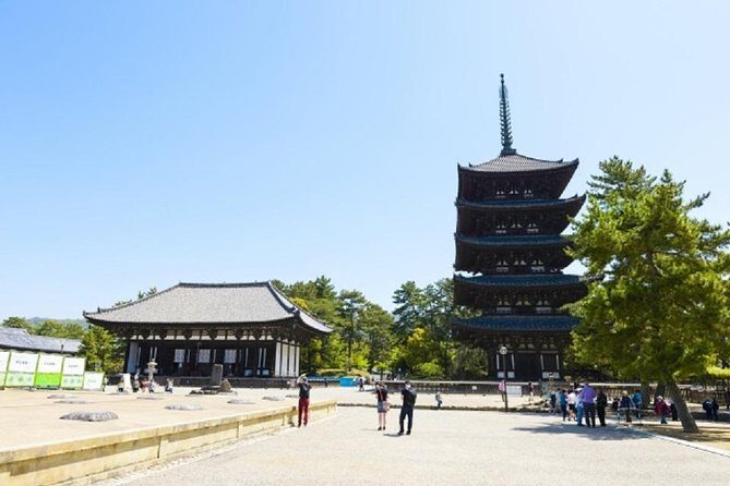 Nara Private Tour by Public Transportation from Osaka - Key Points