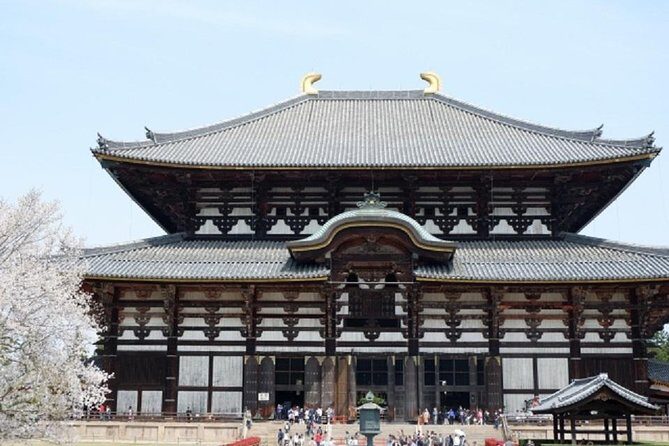 Nara Private Tour by Public Transportation from Osaka - Authentic Insights from Travelers’ Experiences