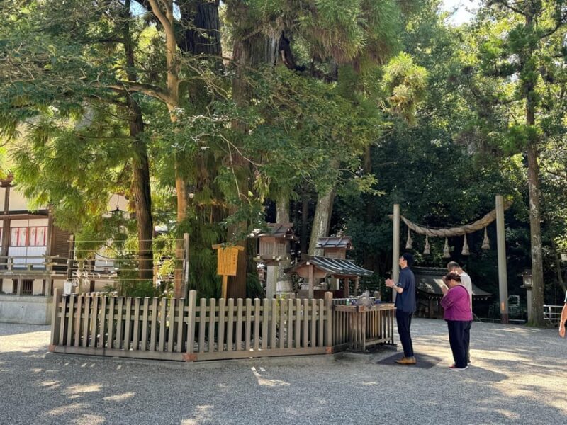 Nara: Private Tour of Japan's Oldest Shrine, Omiwa Shrine - Who Would Enjoy This Experience?