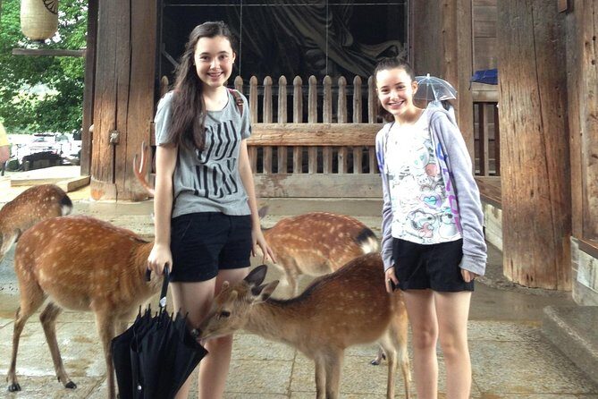 Nara private tour (Shore excursion available from Osaka or Kobe port) - In-Depth Review of the Nara Private Tour