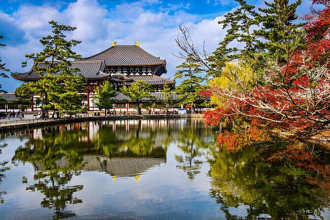 Nara Private Tour with Pick and Drop and English Speaking Driver - The Sum Up