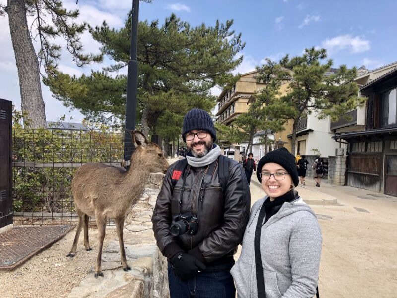 Nara: Private Tour with Private Guide - Exploring Nara with a Private Guide: A Detailed Review