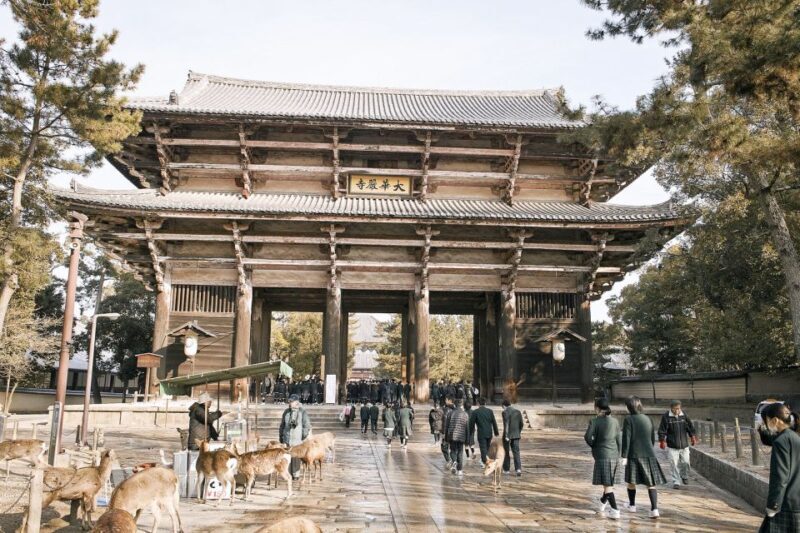 Nara: Private Walking Tour with a Local - FAQs