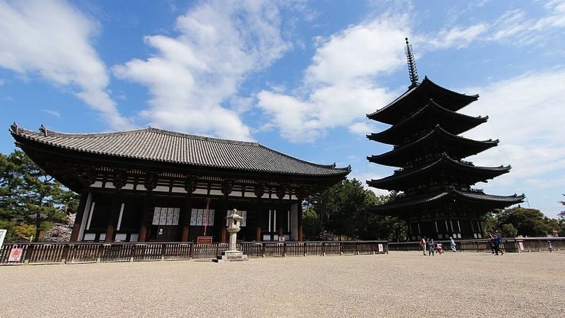 Nara: Sacred Deer & Tsubosaka-dera Full-Day Private Tour - Who should book this Nara tour?
