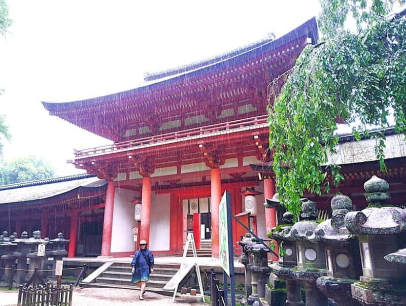 Nara: Sacred Morning Walk with Deer in the Mist - What’s Included and What’s Not