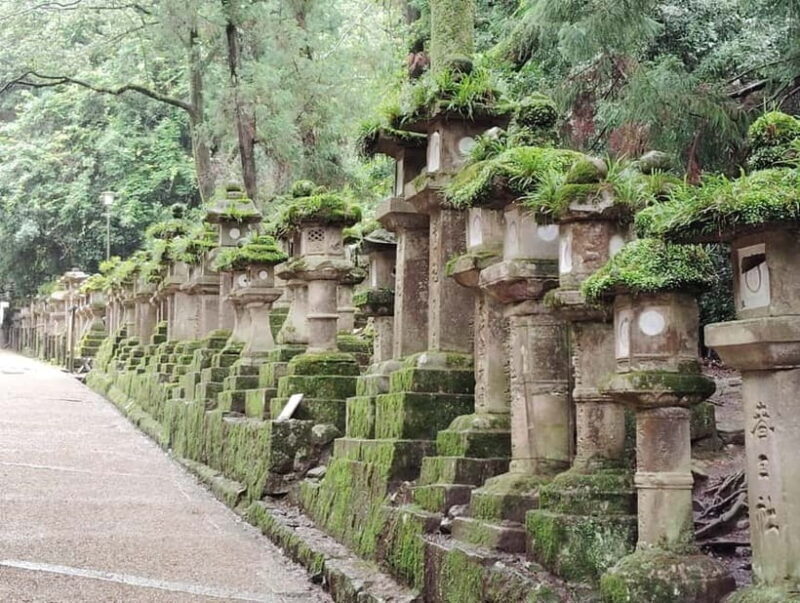 Nara: Sacred Morning Walk with Deer in the Mist - Final Thoughts