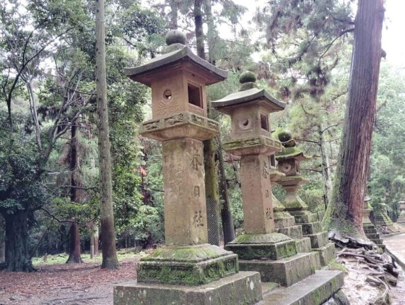 Nara: Sacred Morning Walk with Deer in the Mist - FAQ