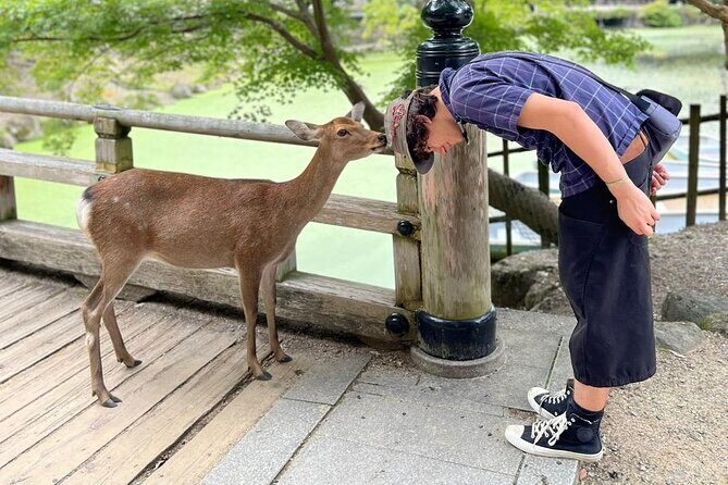 Nara: Sake Tasting Tour at the Birthplace of Japanese Sake - An In-Depth Look at the Nara Sake Tasting Tour