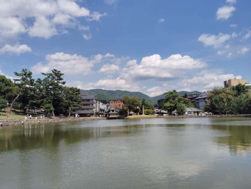 Nara: Sake Tasting Tour at the Birthplace of Japanese Sake - What’s Included and How It’s Valued