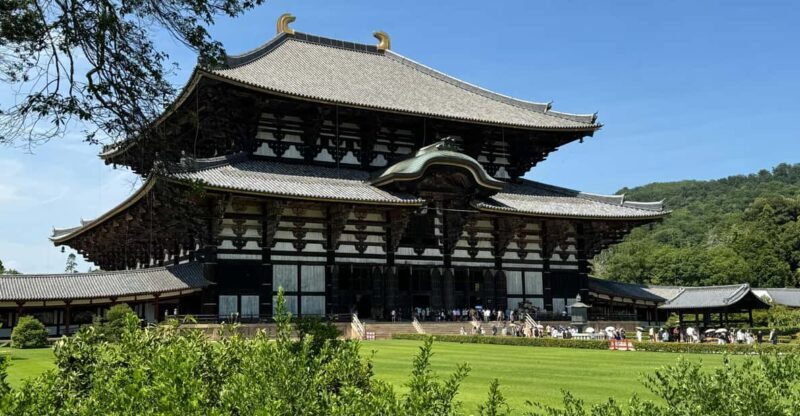 Nara: Todai-jis Great Buddha & All Its Treasures in 2 Hours - Discover the Majesty of Nara’s Todai-ji Temple in Just 2 Hours