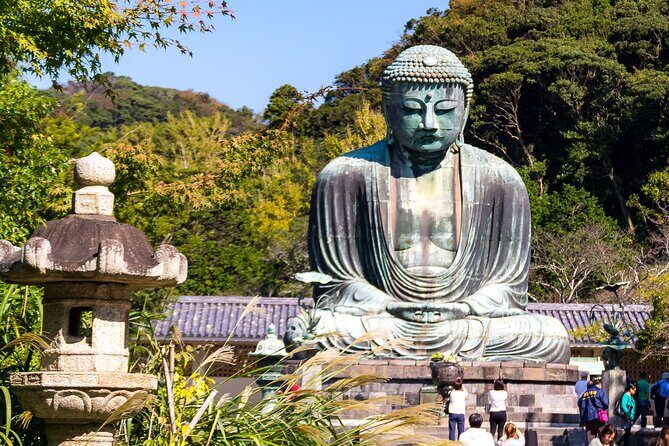 Nara Todaiji Kasuga Taisha Private Full Day Tour From Kyoto - Visiting the Iconic Sites: What to Expect