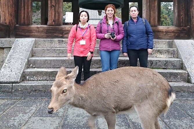 Nara Todaiji Lazy Bird Walking Tour - Kofuku-ji Temple: A Historic Pagoda