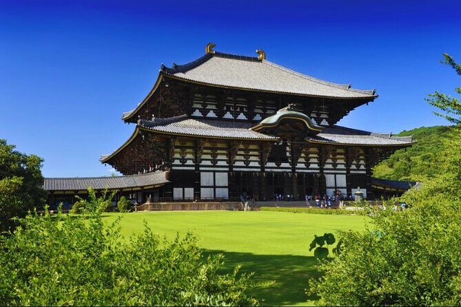 Nara, Todaiji Temple & Kuroshio Market Day BUS Tour from Osaka - Transportation, Group Size, and Practical Tips