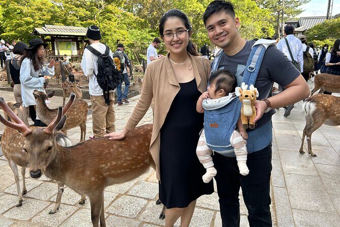 Nara Tour by Car from Kyoto Osaka Kobe - Who Should Consider This Tour?