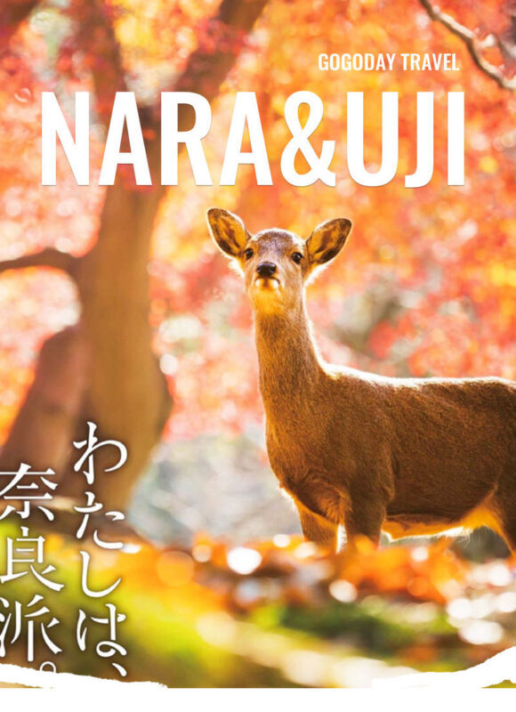 Nara & Uji Day Trip: Nara Park & Todai-ji Temple & Uji & Genji no Yu Onsen | Depart from Osaka - From Osaka to Nara’s deer country