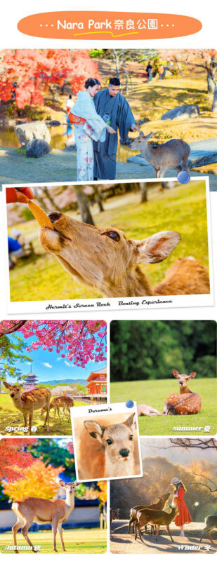 Nara & Uji Day Trip: Nara Park & Todai-ji Temple & Uji & Genji no Yu Onsen | Depart from Osaka - Is Genji-no-Yu worth the detour?