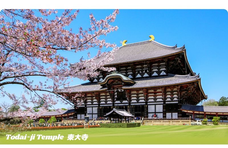 Nara & Uji Day Trip: Nara Park & Todai-ji Temple & Uji & Genji no Yu Onsen | Depart from Osaka - Who will get the most from this day