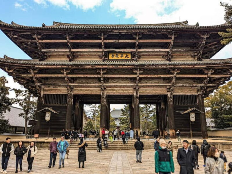 Nara: UNESCO Heritage Sites & Deer Park Tour with Pro guide - Key Points