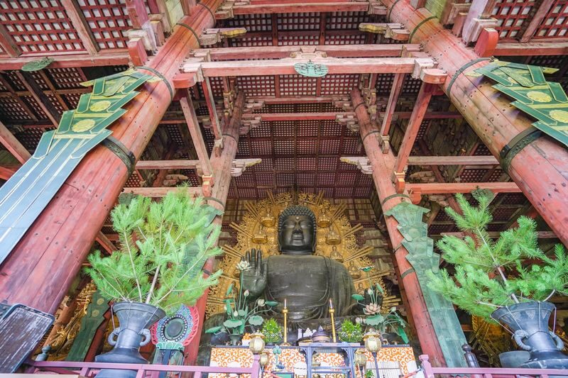 Nara UNESCO Walk: Todaiji, Great Buddha & Kasuga Taisha - Lunch between the temples and shrine