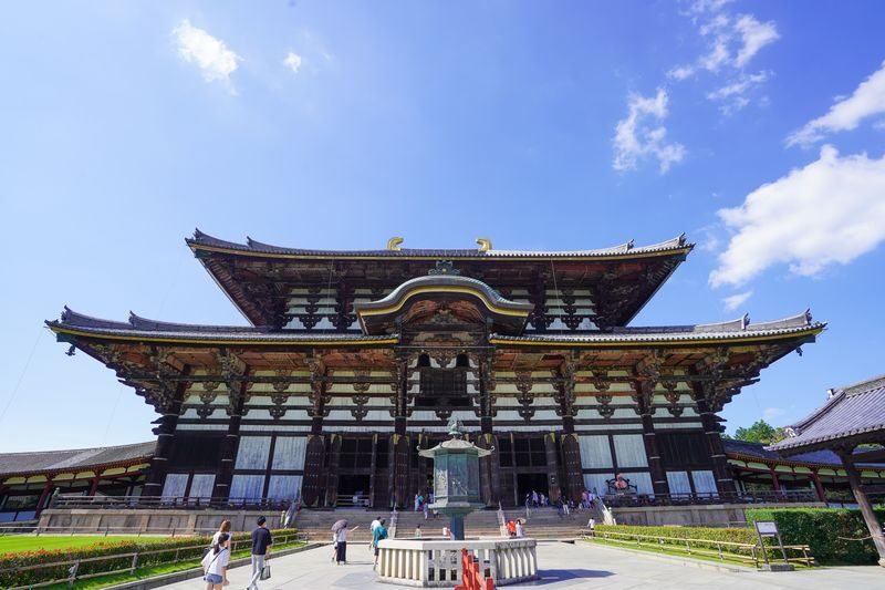 Nara UNESCO Walk: Todaiji, Great Buddha & Kasuga Taisha - Kasuga Taisha and Nara Park’s deer