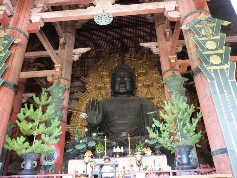 Nara UNESCO Walk: Todaiji, Great Buddha & Kasuga Taisha - What the guides bring to the walk