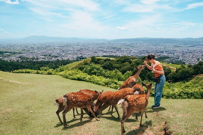 Nara UNESCO World Heritage Sites Slow Cycling Tour - Frequently Asked Questions
