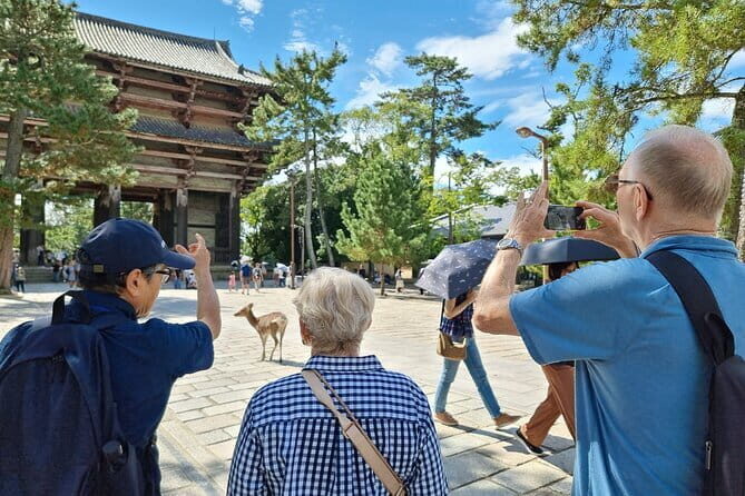 Nara With a Licensed Guide - Who Will Love This Tour?