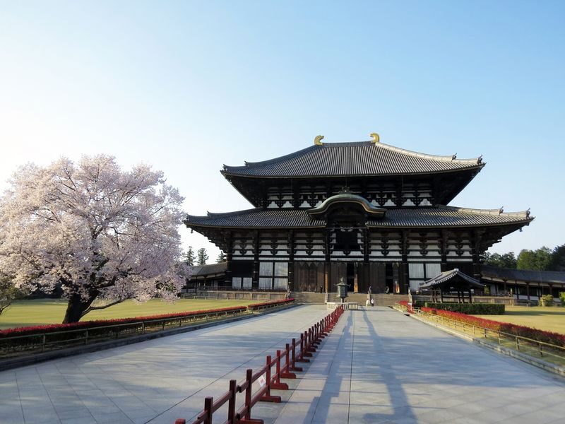 Nara World Heritage PRIVATE TOUR - A seasonal pause at Ukimido