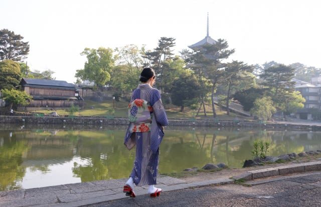 Nara World Heritage PRIVATE TOUR - Kofukuji and its five-story pagoda