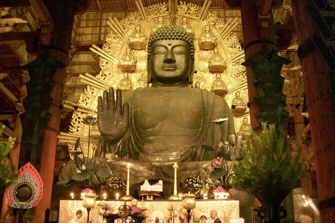Nara World Heritage PRIVATE TOUR - Key Points