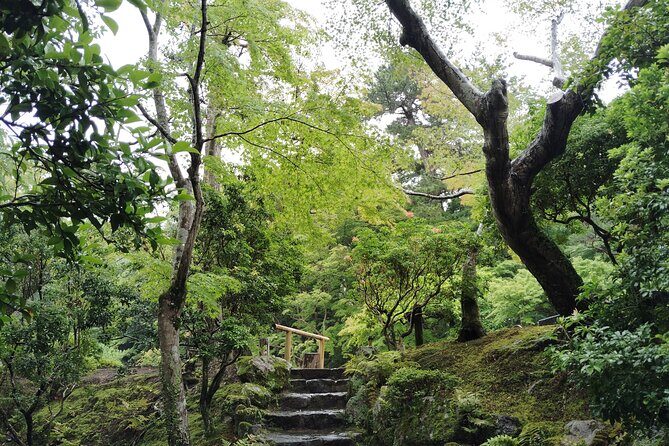 Nara: Yoshikien and Isuien Gardens Tour with Tea Tasting - Final Thoughts