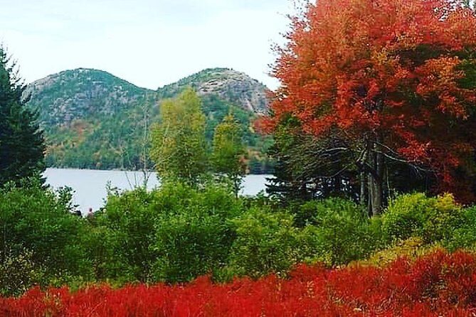 Narrated Bus Tour of Bar Harbor and Acadia National Park - The Sum Up
