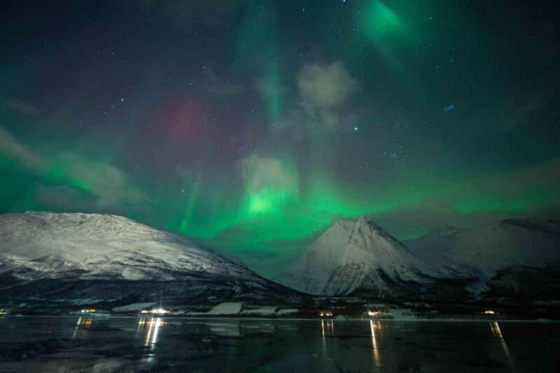 Narvik: Guided Northern Lights Tour with Photography Tips - Key Points