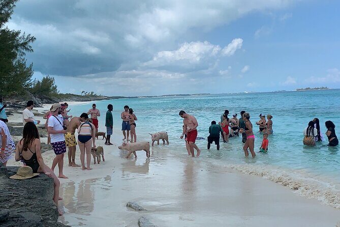 Nas: 3 islands Tour ,snorkel, Turtles, pigs and lunch - FAQ