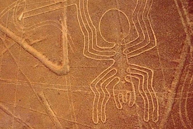 Nasca Lines Overflight - Discover the Chauchilla Cementery - Who Will Love This Tour?