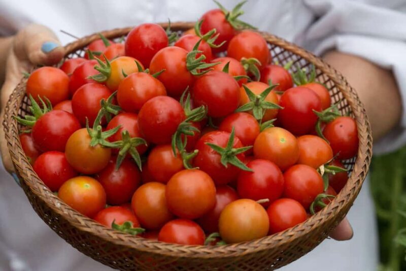 Nashville: Immersive Pasta Making Cooking Class - Why Choose This Experience?