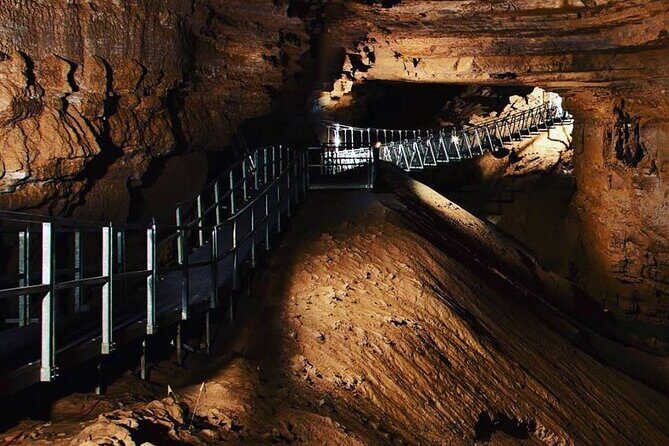 Nashville to Kentucky Caves & Kangaroos: A Day of Enchantment - Nashville to Kentucky Caves & Kangaroos: A Day of Enchantment