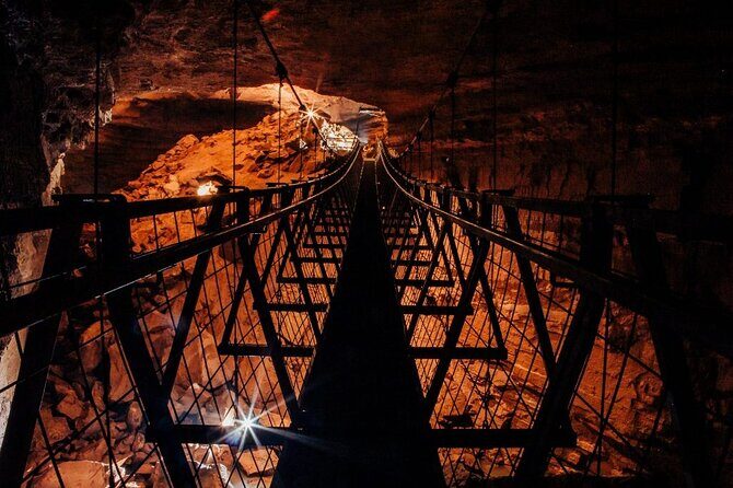 Nashville to Kentucky Caves & Kangaroos: A Day of Enchantment - Key Points