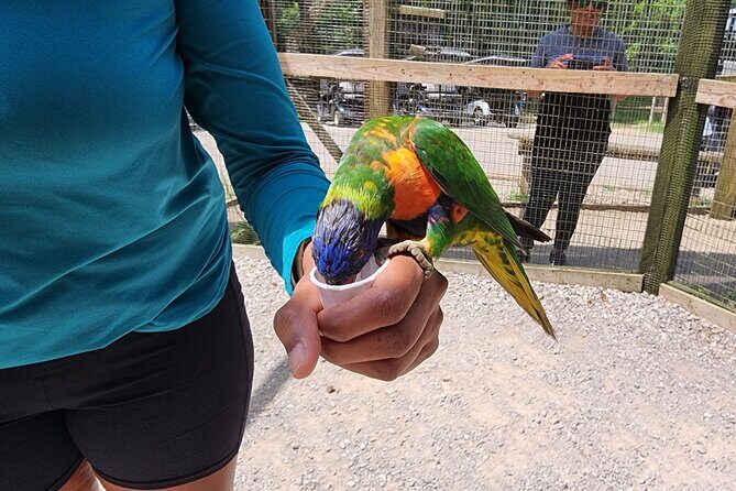 Nashville to Kentucky Caves & Kangaroos: A Day of Enchantment - Detailed Breakdown of the Itinerary