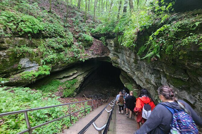 Nashville to Kentucky Caves & Kangaroos: A Day of Enchantment - Who Will Love This Tour?