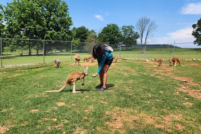 Nashville to Kentucky Caves & Kangaroos: A Day of Enchantment - FAQ