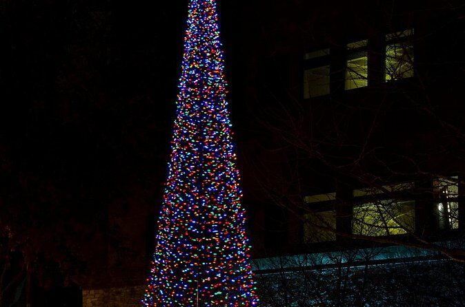 Nashvilles Holiday Harmony: A Private Christmas Melody Tour - Final Thoughts on the Value