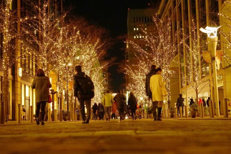 Nashvilles Holiday Harmony: A Private Christmas Melody Tour - The Sum Up