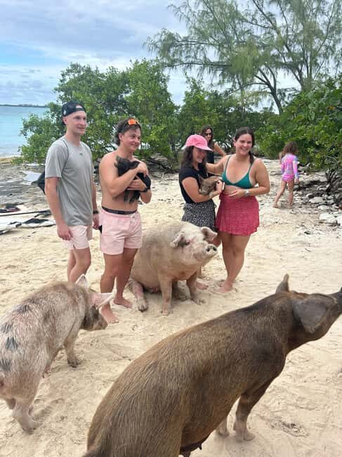 Nassau Bahamas: Jetcar Excursion to Pig Island Tour - The Experience in Detail: What to Expect