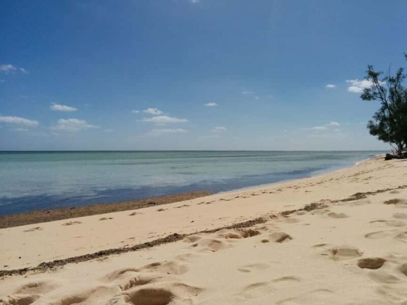 Nassau Bucket List: Private Full-Day Exploration Tour - Who Will Love This Tour?