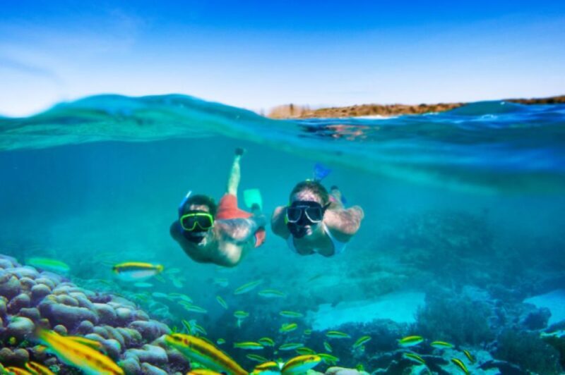 Nassau: Catamaran Sail and Snorkel Tour - Nassau: Catamaran Sail and Snorkel Tour — A Relaxed Dive into Paradise