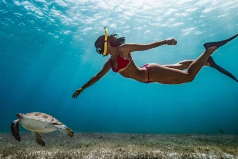 Nassau: Catamaran Sail and Snorkel Tour - Who Will Love This Tour?