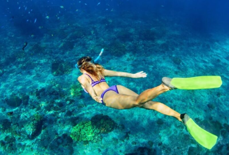 Nassau: Catamaran Sail and Snorkel Tour - FAQ