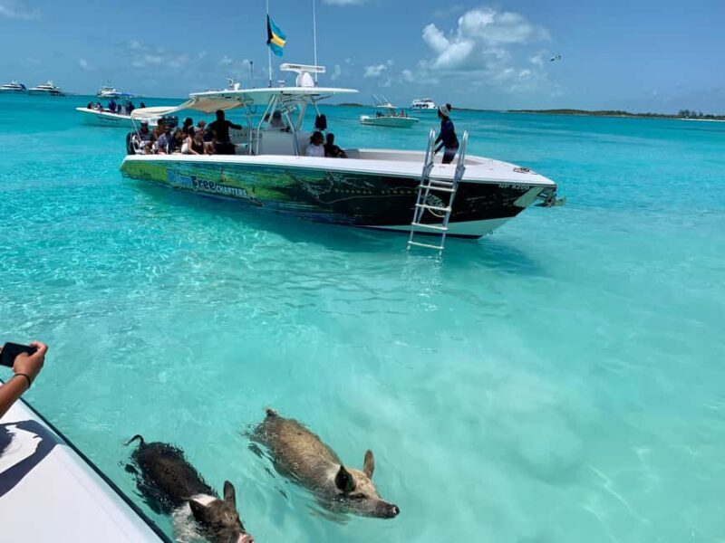 Nassau: Discover Exuma Island Hopping and Swimming Pigs Tour - Exploring the Exuma: An Authentic Bahamas Experience