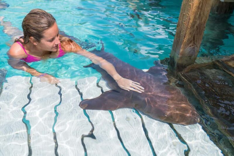 Nassau: Discover Exuma Island Hopping and Swimming Pigs Tour - What Travelers Say: Authentic Feedback